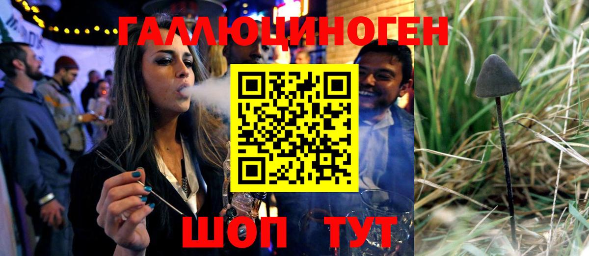 Псилоцибиновые грибы прущие грибы  Вход с VPN  Моздок  Галлюциногенные грибы GOLDEN TEACHER 